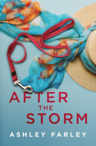 After The Storm - 9781956684162