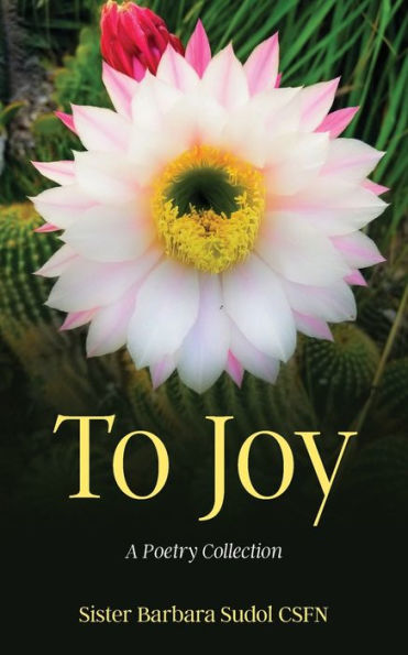 To Joy - 9781960810120