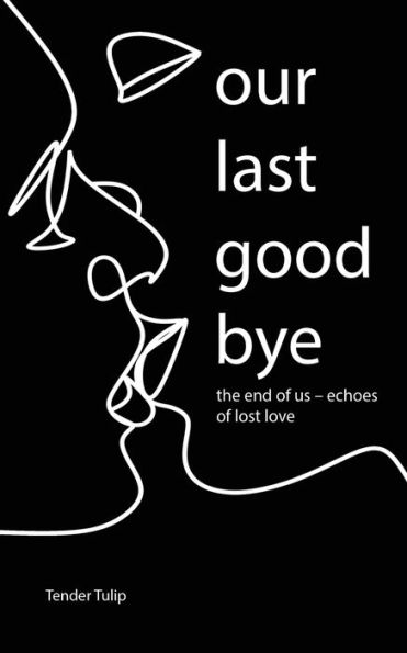 Our Last Goodbye: The End Of Us - Echoes Of Lost Love - 9781961902060