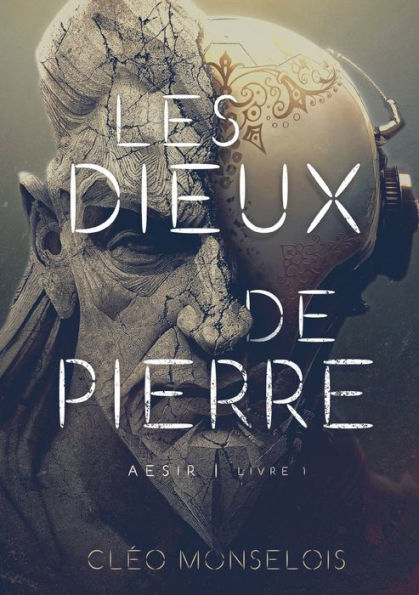 Les Dieux De Pierre: Aesir - Livre 1 (French Edition)