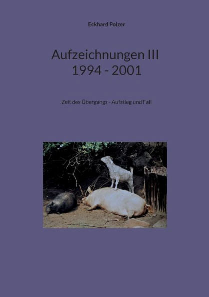 Aufzeichnungen Iii; 1994 - 2001: Zeit Des Übergangs - Aufstieg Und Fall (German Edition)