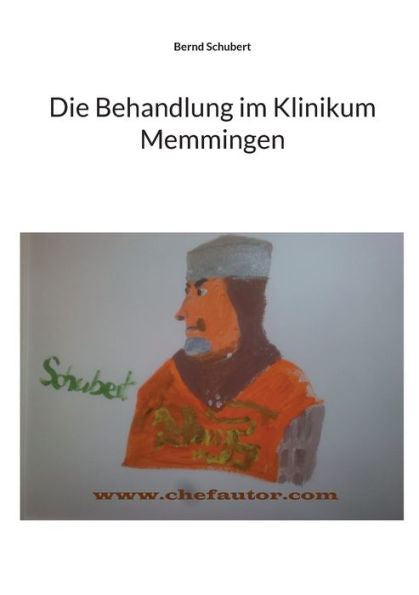 Die Behandlung Im Klinikum Memmingen (German Edition)