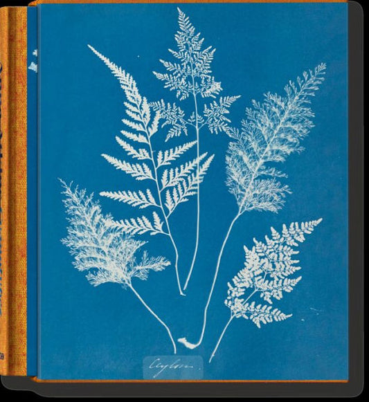 Anna Atkins: Cyanotypes